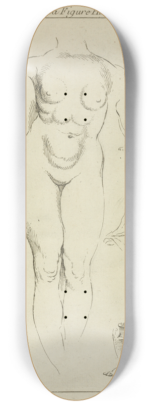 Peter Paul Rubens - Studies of the female torso, buttocks, and seated figures, dorsal view 8.25 inch art skate deck