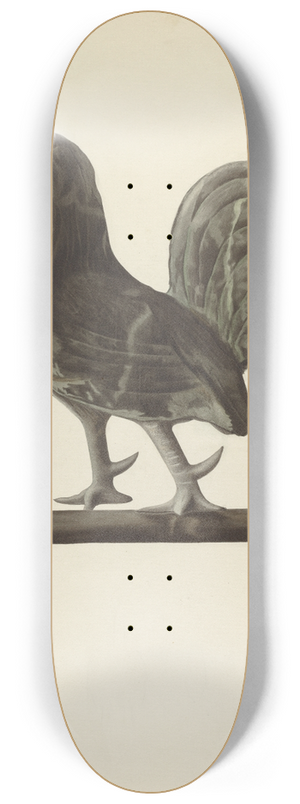 Philip Johnson - Weather Vane Finial 8.25 inch art skate deck