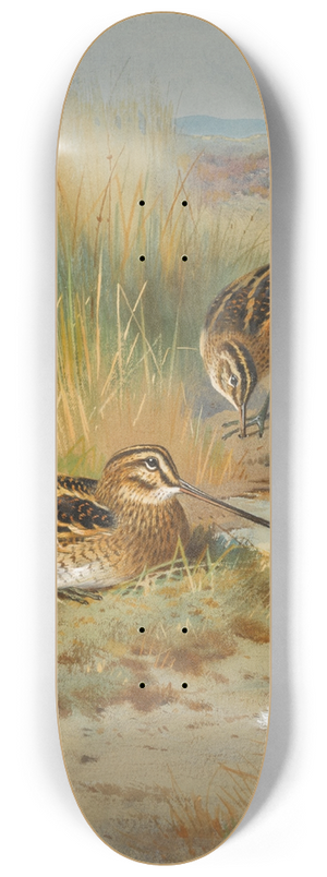 Archibald Thorburn - A Pair of Snipe (Gallinago Gallinago) 8.25 inch art skate deck