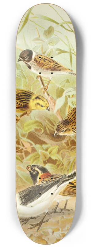 Pierre Jacques Smit - Buntings 8.25 inch art skate deck