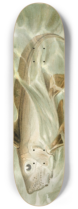 Pierre Jacques Smit - Chimaera 8.25 inch art skate deck