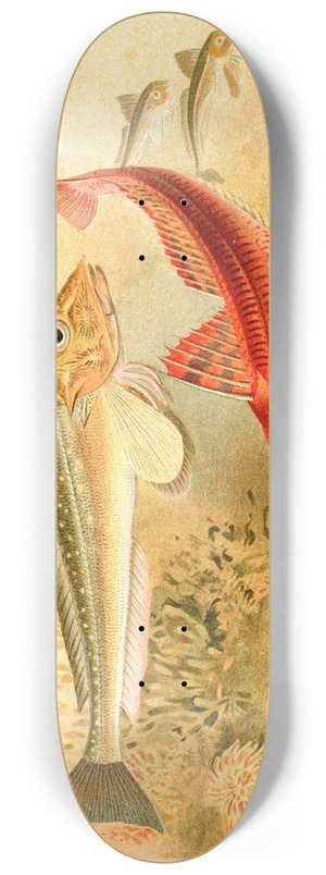 Pierre Jacques Smit - Gurnards 8.25 inch art skate deck