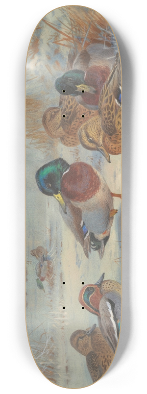 Archibald Thorburn - Mallard and teal in the snow 8.25 inch art skate deck