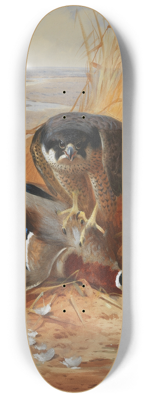 Archibald Thorburn - Peregrine falcon and mallard duck on a sandbank 8.25 inch art skate deck
