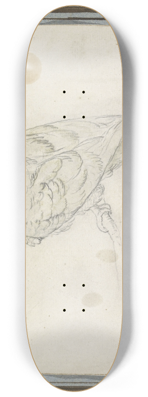 Pieter Casteels III - Papegaai 8.25 inch art skate deck