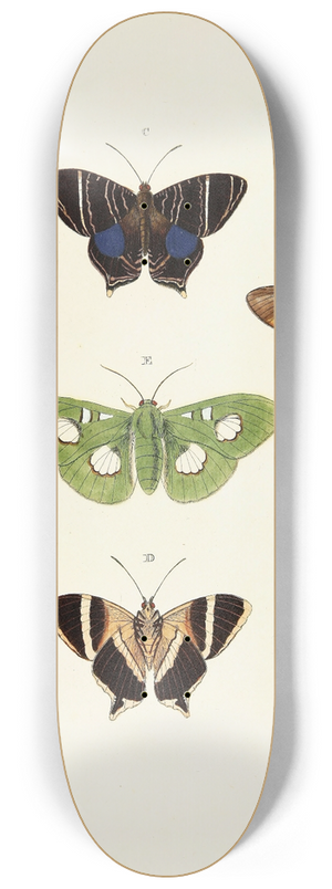 Pieter Cramer - Foreign butterflies occurring in the three continents Asia, Africa and America Pl.069 8.25 inch art skate deck