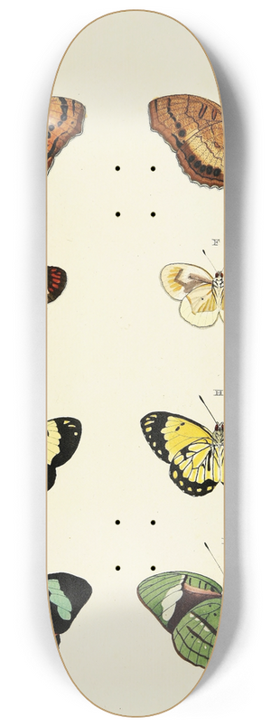 Pieter Cramer - Foreign butterflies occurring in the three continents Asia, Africa and America Pl.144 8.25 inch art skate deck