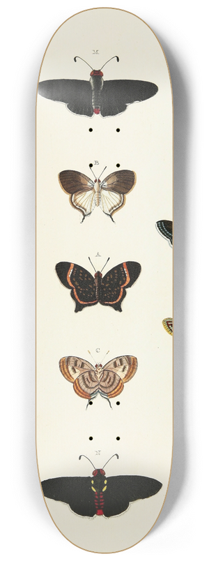 Pieter Cramer - Foreign butterflies occurring in the three continents Asia, Africa and America Pl.185 8.25 inch art skate deck
