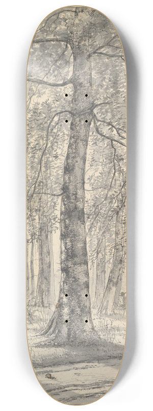 Pieter George Westenberg - Woodland Scene 8.25 inch art skate deck