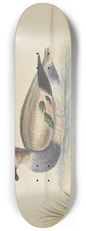 Pieter Holsteijn - Duck to the left 8.25 inch art skate deck
