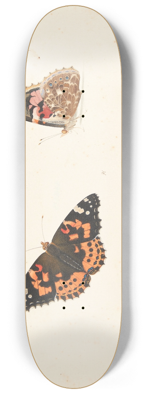 Pieter Holsteijn - To studier af en tidselfugl vanessa cardui l 8.25 inch art skate deck