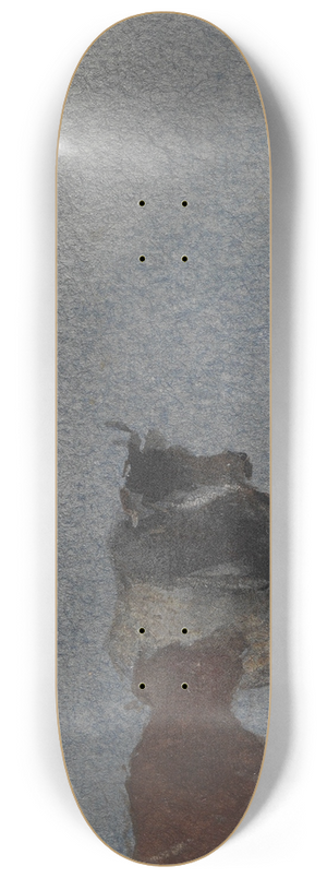 Pieter Stortenbeker - Holland 8.25 inch art skate deck