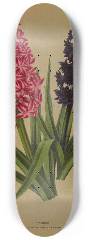 Arentina Hendrica Arendsen - Hyacinths 3 8.25 inch art skate deck