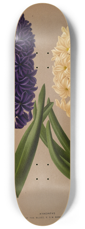 Arentina Hendrica Arendsen - Hyacinths 6 8.25 inch art skate deck