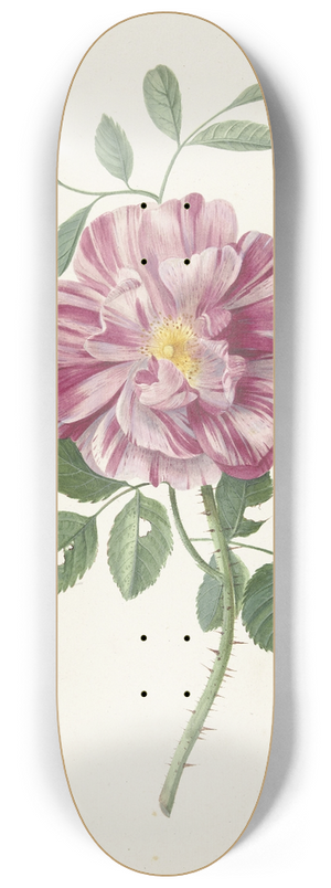 Pieter Withoos - Roos 8.25 inch art skate deck Pieter Withoos - Roos 8.25 inch art skate deck