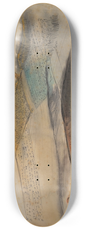 Arie Van de Giessen - Schovenbinder 8.25 inch art skate deck Arie Van de Giessen - Schovenbinder 8.25 inch art skate deck