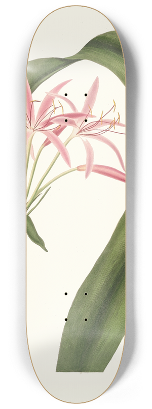 Priscilla Susan Bury - Crinum Cruentum 8.25 inch art skate deck