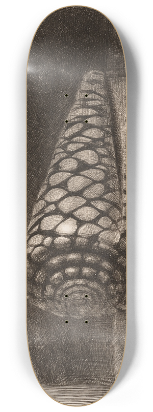 Rembrandt van Rijn - The Shell (Conus Marmoreus) 8.25 inch art skate deck