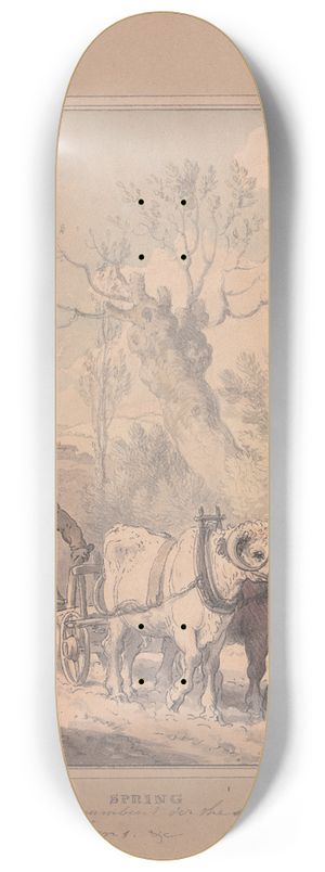 Richard Corbould - Spring 8.25 inch art skate deck