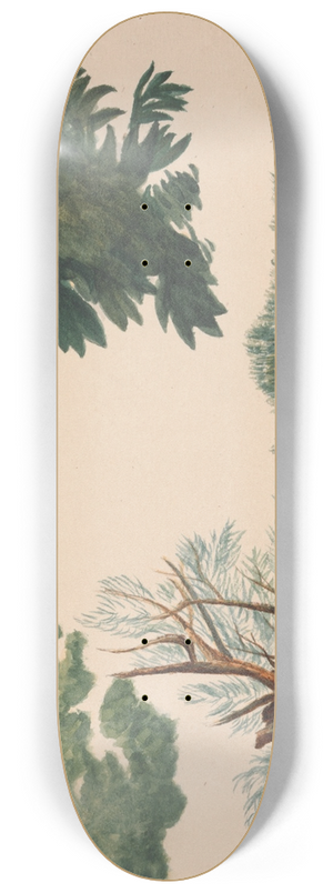 Richard Pettigrew Leitch - Trees and Foliage 8.25 inch art skate deck