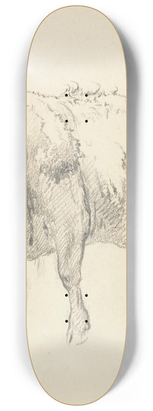 Robert Hills - A Bull 8.25 inch art skate deck