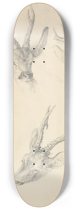 Robert Hills - A Stags Head; three studies 8.25 inch art skate deck