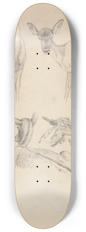 Robert Hills - Deer and their Young 8.25 inch art skate deck