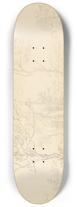 Robert Hills - Study of a Holly Tree 8.25 inch art skate deck