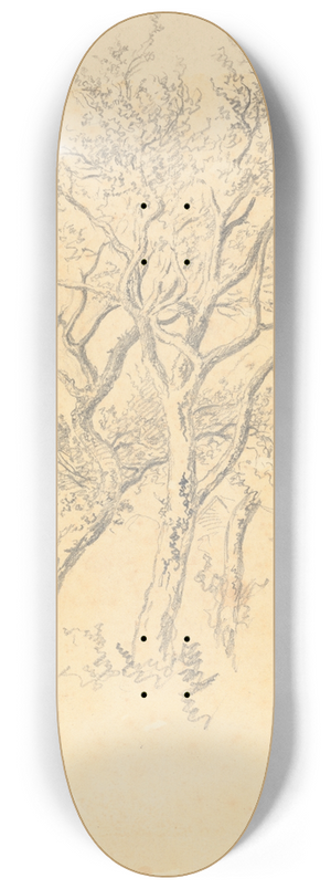 Robert Hills - Study of Apple Trees 8.25 inch art skate deck