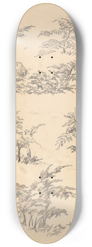 Robert Hills - Study of Bracken 8.25 inch art skate deck