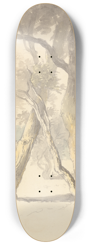 Robert Hills - Woodland Study 8.25 inch art skate deck