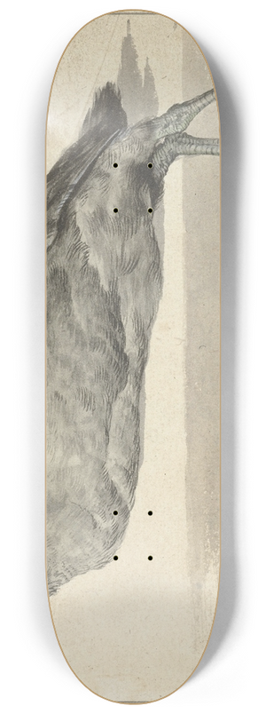 Rochus van Veen - Dode meerkoet 8.25 inch art skate deck