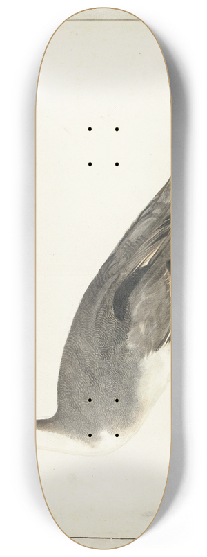 Rochus van Veen - Drake Pintail 8.25 inch art skate deck