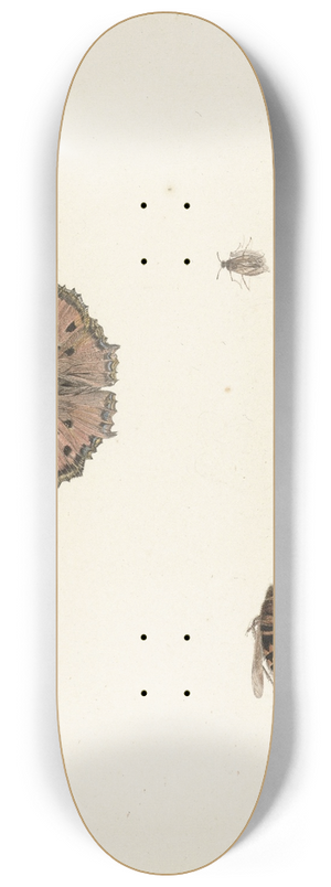 Rochus van Veen - Studieblad met verschillende insecten 8.25 inch art skate deck
