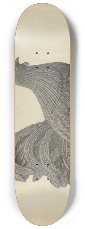 Rollington Campbell - Weather Vane  Cock 8.25 inch art skate deck