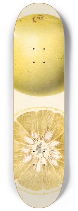 Royal Charles Steadman - Citrus paradisi 8.25 inch art skate deck