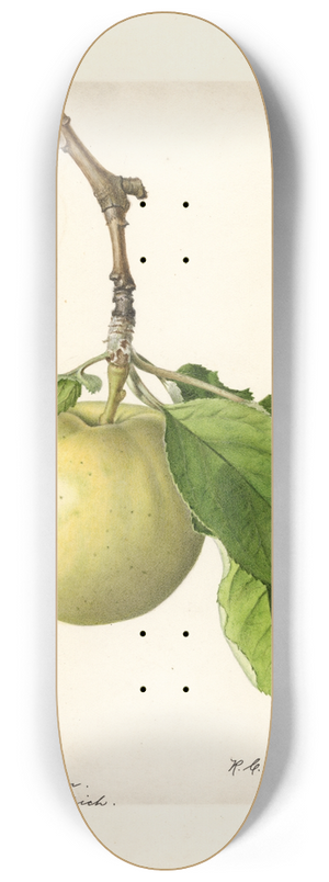 Royal Charles Steadman - Malus domestica: Early Ripe 8.25 inch art skate deck