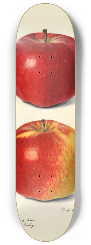 Royal Charles Steadman - Malus domestica: Oranco 8.25 inch art skate deck
