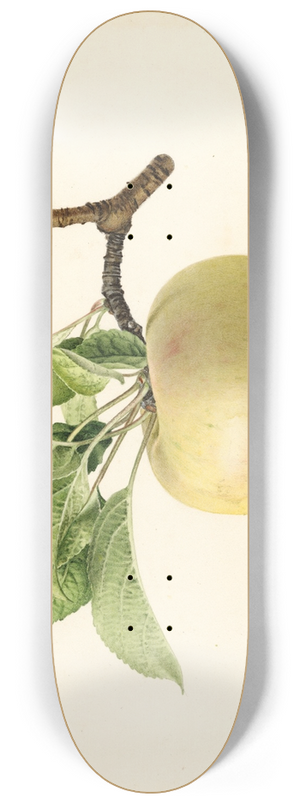 Royal Charles Steadman - Malus domestica: Sweet Bough 8.25 inch art skate deck