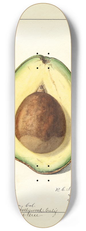 Royal Charles Steadman - Persea: Surprise 8.25 inch art skate deck