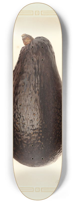 Royal Charles Steadman - Persea: Thompson 8.25 inch art skate deck