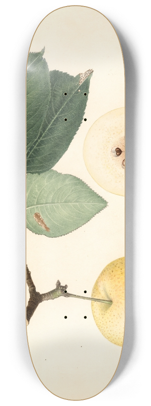 Royal Charles Steadman - Pyrus communis 8.25 inch art skate deck