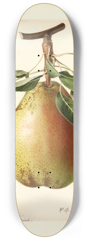 Royal Charles Steadman - Pyrus communis: King Karl 8.25 inch art skate deck