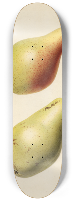 Royal Charles Steadman - Pyrus communis: Vicar of Winkfield 8.25 inch art skate deck