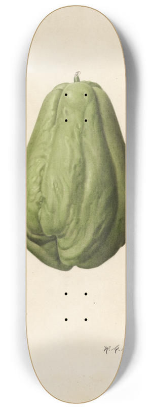 Royal Charles Steadman - Sechium edule 8.25 inch art skate deck