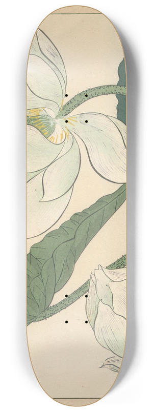 Sakai Hoitsu - Lotus 8.25 inch art skate deck