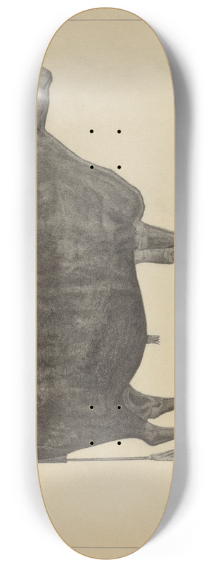 Salvatore Borrazzo - Weather Vane Finial 8.25 inch art skate deck