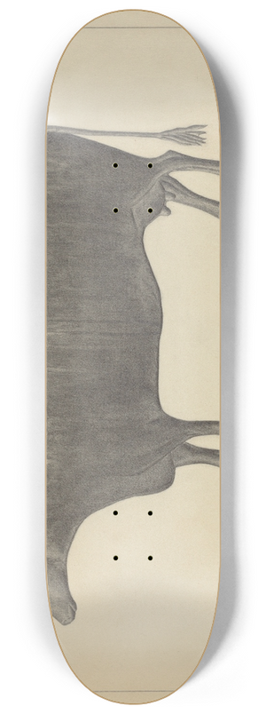 Salvatore Borrazzo - Weather Vane Finial 8.25 inch art skate deck