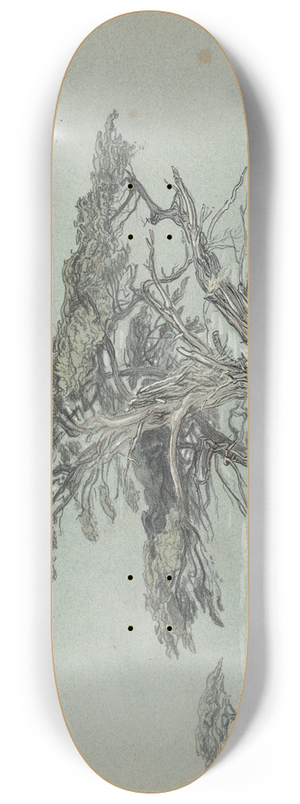 Samuel Colman - Cypress Trees, Cypress Point 8.25 inch art skate deck