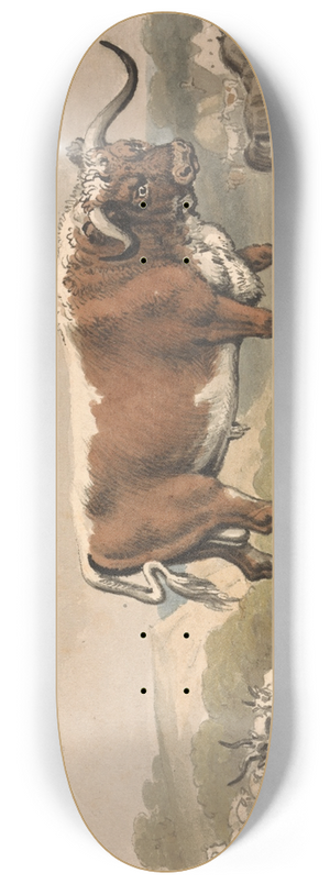 Samuel Howitt - A Bull and a Rabbit 8.25 inch art skate deck